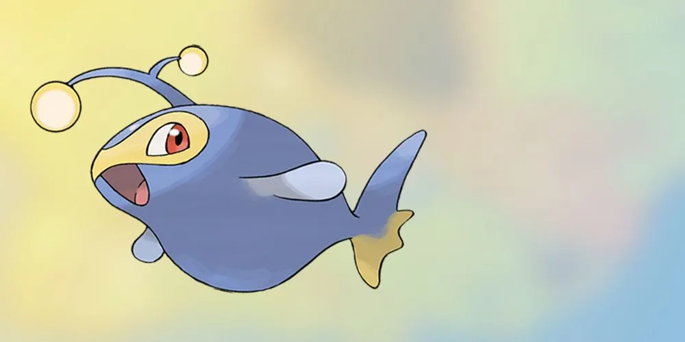 澳洲足协全,力争夺,年女足亚洲,2026世界杯,世界杯赛程,举办城市,赛事亮点,参赛球队