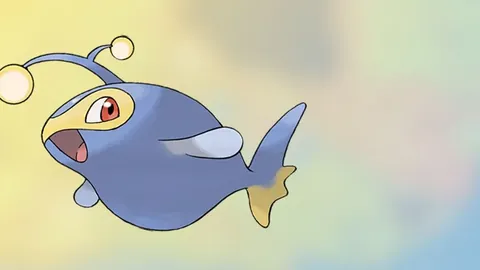 澳洲足协全力争夺2026年女足亚洲杯举办权